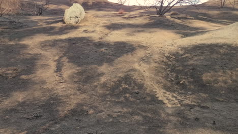 destroyed california landscape after extreme wildfires motion view