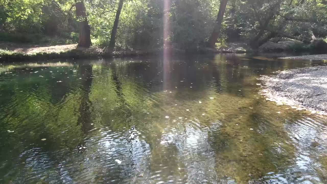 깨끗한 산 강 위를 날고, 나무와 바위가 있는 잔잔한 물