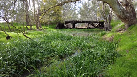 Old-wooden-bridge-over-a-small-creek-in-lush-green-highlands-in-Australia