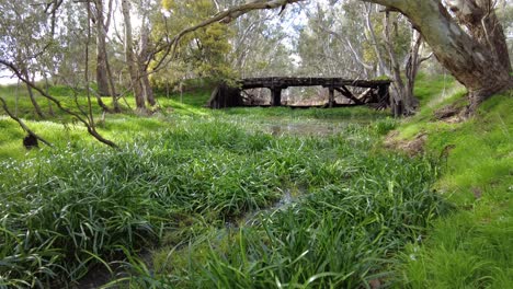 viejo puente de madera sobre un pequeño arroyo en las exuberantes tierras altas verdes de australia