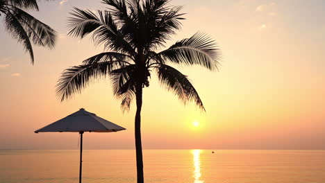 Silueta-De-Una-Palmera-Y-Sombrilla-De-Playa-Contra-Una-Puesta-De-Sol-Tropical