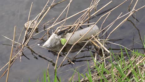 Botella-De-Plástico-Y-Basura-En-El-Agua-Del-Arroyo---Contaminación-Del-Agua-En-El-Arroyo-Yangjaecheon,-Seúl,-Corea-Del-Sur---Primer-Plano