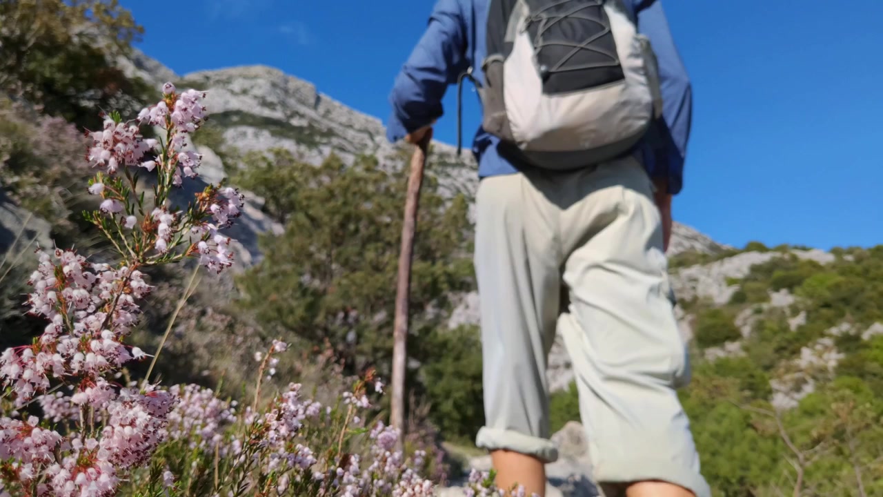 山道で花のそばを通り過ぎる男性ハイカー。山の未舗装路を歩くハイカーの後ろ姿