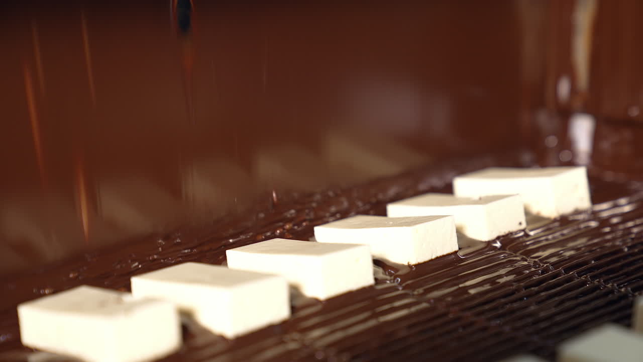 Conveyor cacao delicious candy factory. Chocolate making candies on factory.