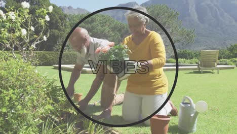 Animation-Von-Vibes-Text-über-Ein-älteres-Afroamerikanisches-Paar-Bei-Der-Gartenarbeit