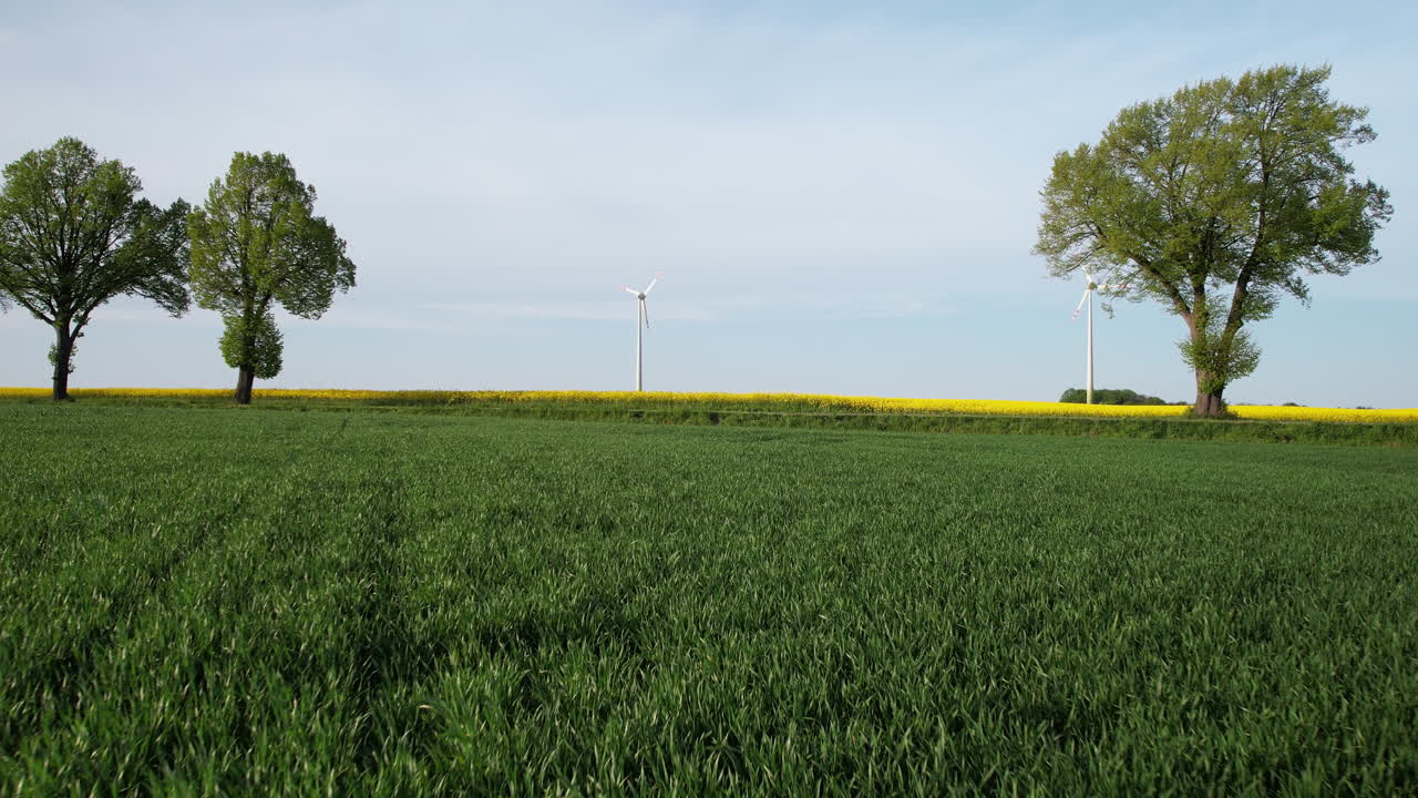 청정 녹색 에너지를 위해 경치 좋은 도로와 농장과 풍차에서 지나가는 차를 보여주는 항공 비행