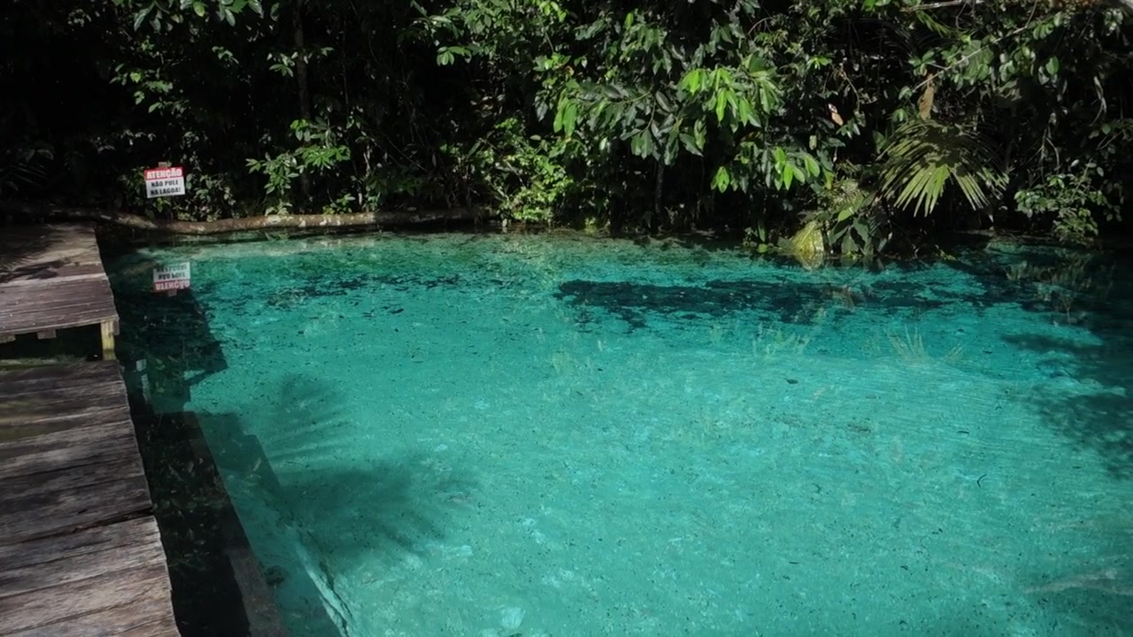 Splendida piscina naturale turchese nella foresta pluviale amazzonica a Presidente Figueiredo, Amazonas, Brasile
