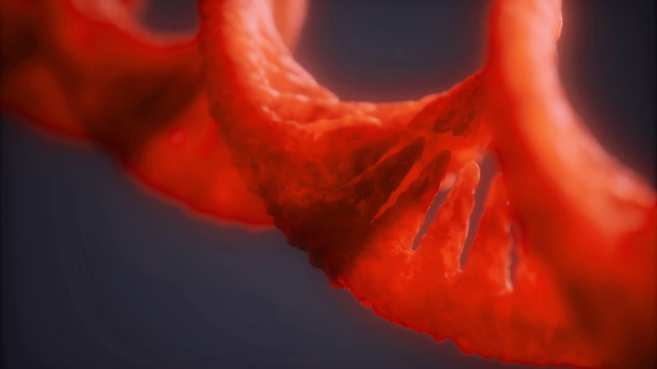 Exploring the intricate structure of dna and its vibrant role in life