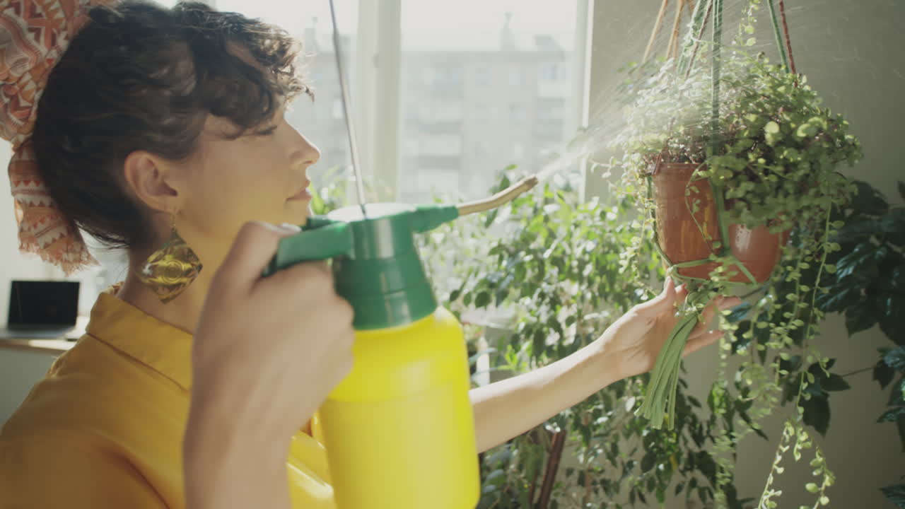 가옥 식물 에 물 을 주고 있는 여자