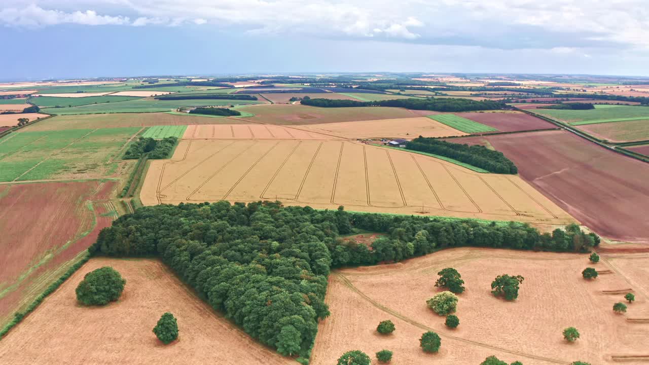 Norfolk Farm Fields Aerial Drone high fly over wheat fields