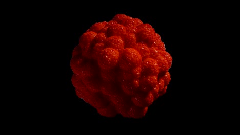 célula roja del cáncer capaz de hacer un bucle sin problemas