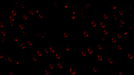 blood drops motion graphics with night background