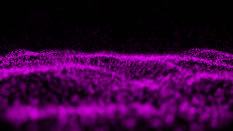 animación digital de la onda digital púrpura moviéndose contra un fondo negro