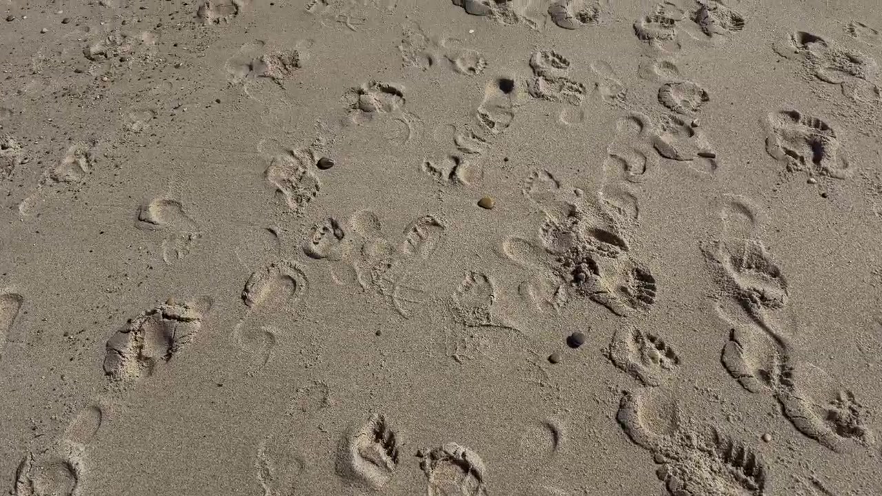 Ripresa in soggettiva di passi che scivolano in avanti lungo un sentiero chiaro di impronte profonde sulla spiaggia