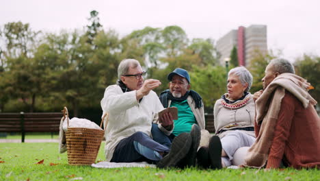 Park,-picnic-and-senior-people-talking