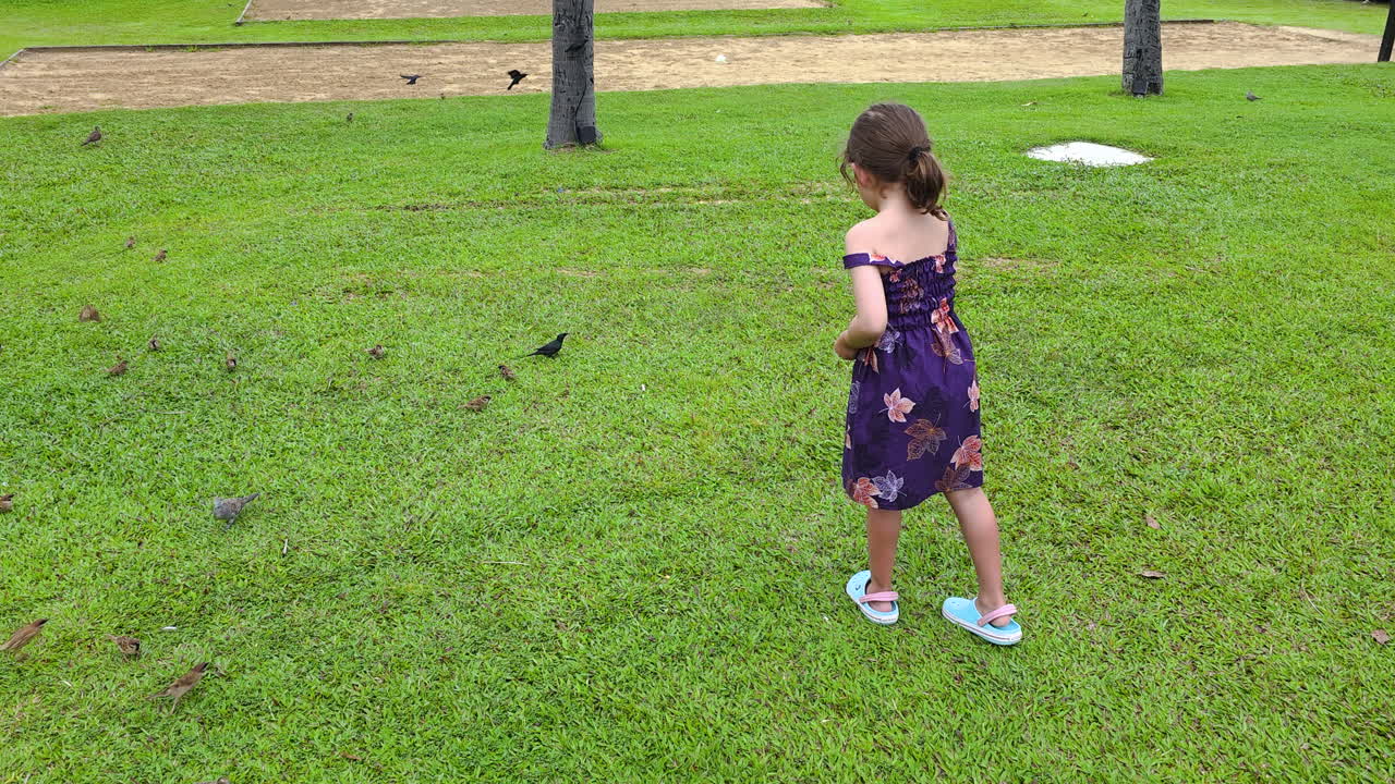 Caucasian 5-year-old girl feeding birds with bread on green grass lawn