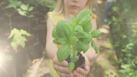 manchas de luz contra la niña caucásica que sostiene una muestra de planta en el jardín