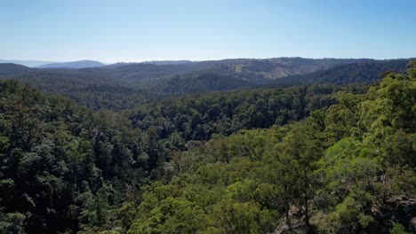 spectacular views of eucalypt woodland near falls lookout in mount mee, queensland, australia