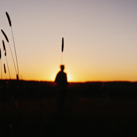 a young family with a child makes an evening jog in nature