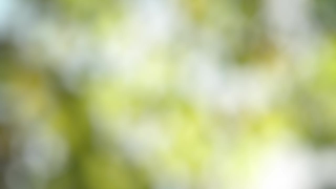 vuelo de limón y rebanadas en el fondo del jardín