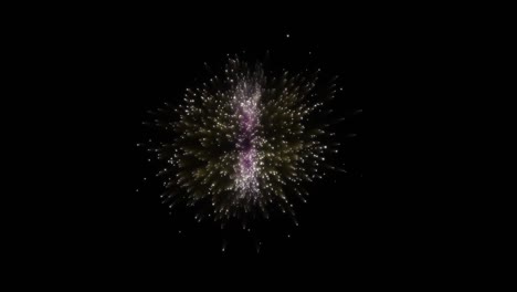 Decorative-champagne-fireworks-exploding-and-glittering-in-the-black-background-screen,-starting-from-center-of-the-screen-and-forming-double-explosions