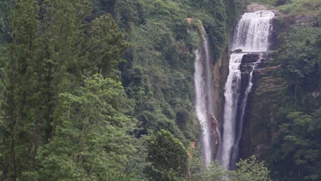 lush abundant jungle waterfall in sri lanka