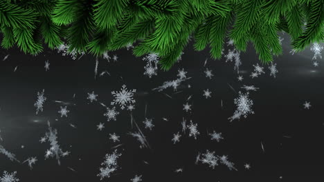 animation of christmas tree branches over falling snow