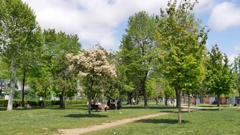 park scene with people relaxing