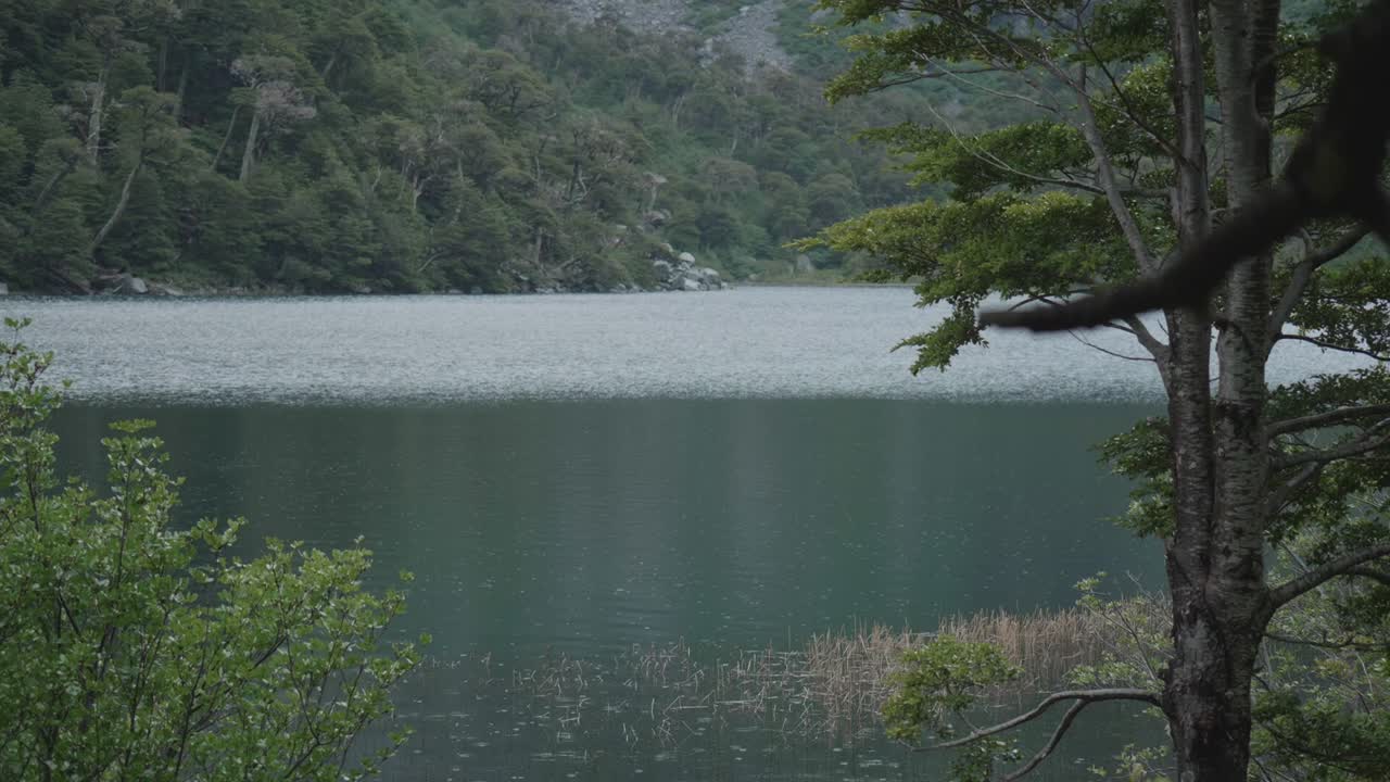 전경에 자연이 있는 호수에 가벼운 비