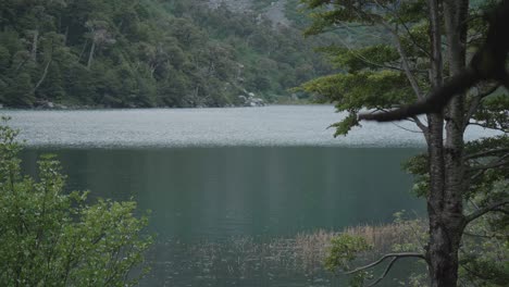 Light-rain-on-a-lake-with-nature-in-foreground