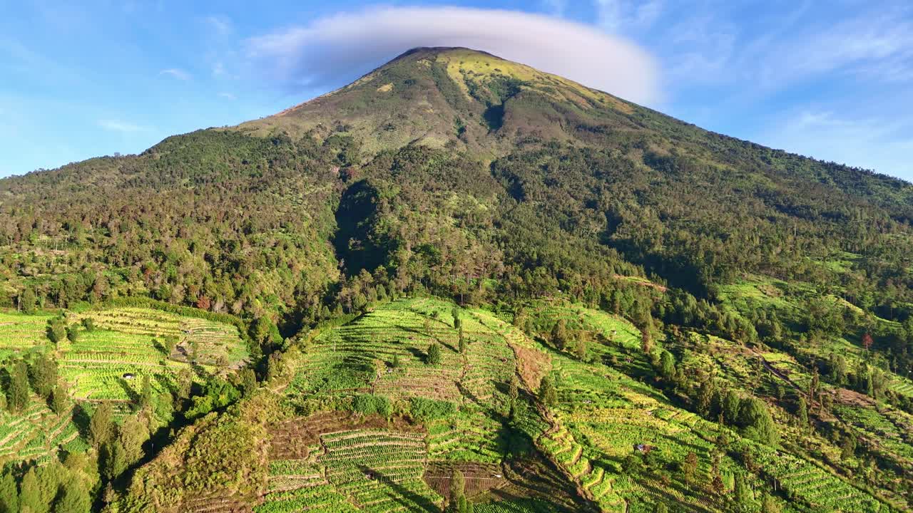 vista aérea de la montaña sindoro con plantación en la pendiente
