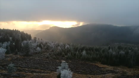 Malerische-Aussicht-Bei-Sonnenuntergang-Im-Winter-über-Frostige-Bäume-Im-Schwarzwald