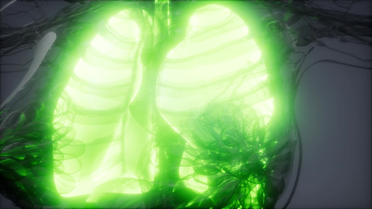 examen radiológico de los pulmones humanos