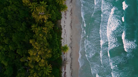 Perfect-beach-at-Daintree-Rainforest,-Cape-Tribulation