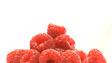 racimo de frambuesas