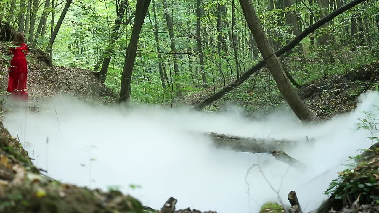 Beautiful Girl in Green Mystical Forest. Beautiful model girl dressed in a red dress is standing in a mystical forest alone