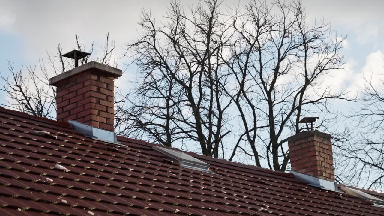 Close-up of a red tiled roof with two chimneys under a winter sky and bare trees