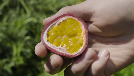 manos caucásicas sosteniendo comida dulce fruta de la pasión la mitad con la sección transversal de la semilla interior que muestra la cámara