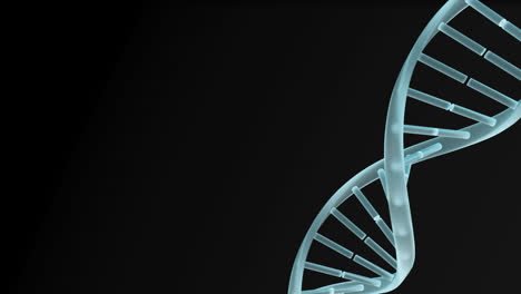 digital animation of dna structure spinning against black background