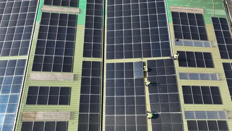 Factory-workers-installing-solar-panels-for-alternative-energy