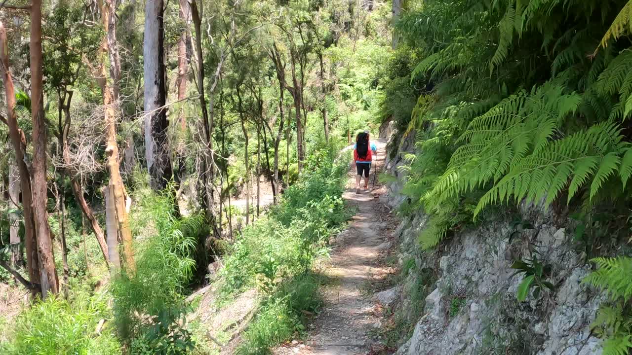 경치 좋은 숲길 을 따라 산책 하는 두 사람