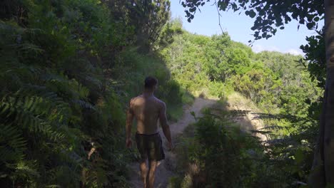 man walking in nature looking at the sea.