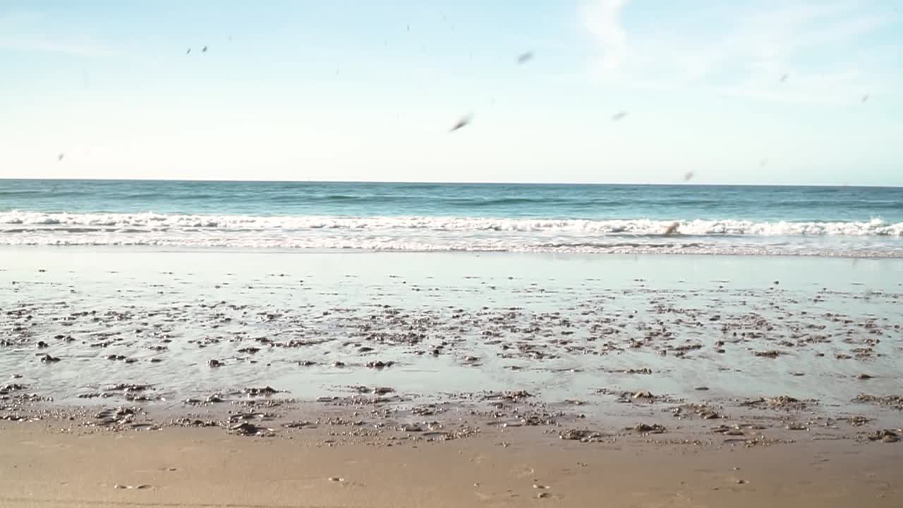 두 명의 백인 남자가 해변에서 두 마리의 흰 말을 타고 경주를 하고 있으며, 바다 파도가 배경으로 다가오고 있으며, 영화적 움직임 측면 뷰 샷