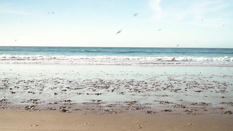 two caucasian men horseback racing on two white horses on a beach with sea waves approaching in the background, cinematic movement side view shot
