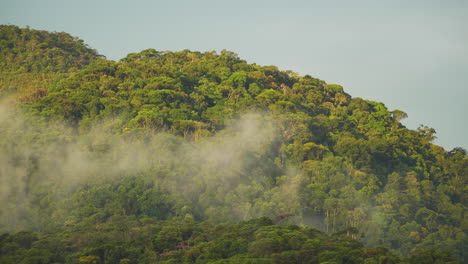 Zeitraffer-Von-Nebligem-Nebel-über-Dem-Atlantischen-Waldberg-In-Petropolis,-Rio-De-Janeiro