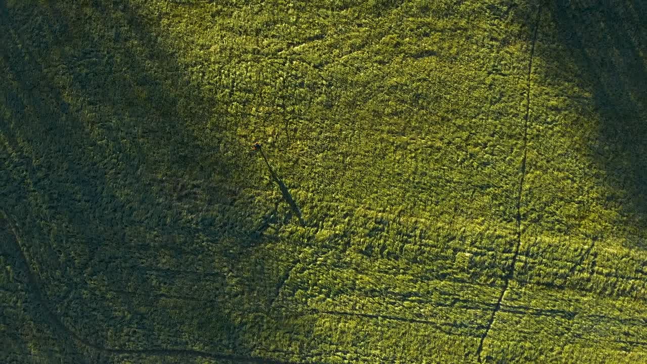 retorciendo imágenes de drones sobre un campo verde con un hombre caminando