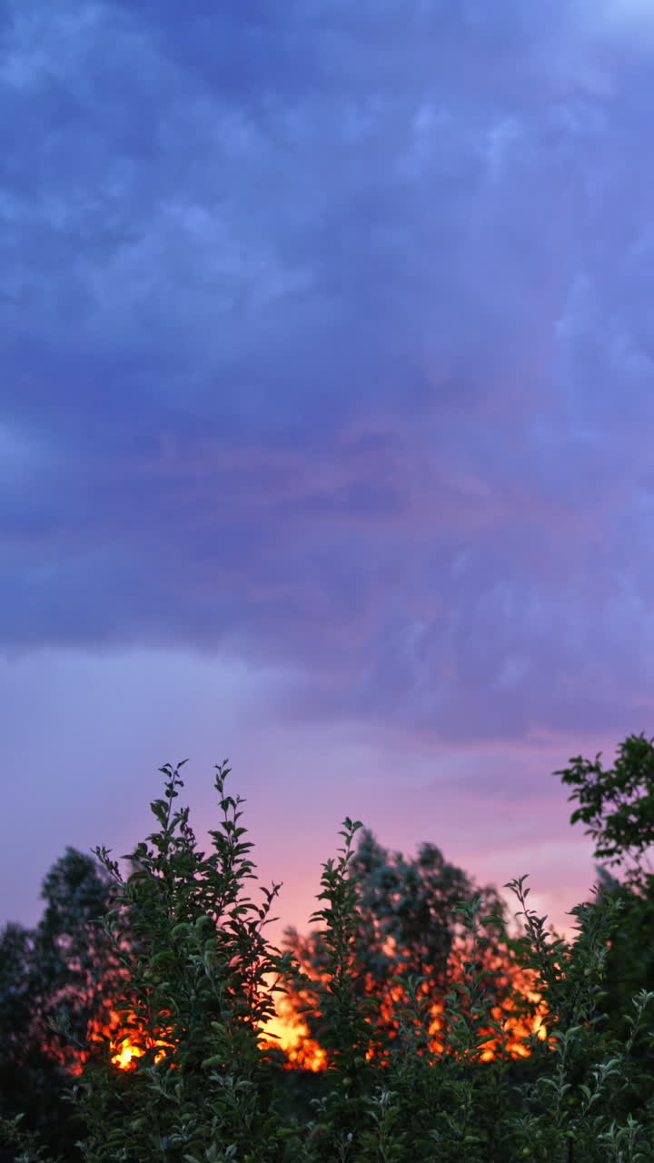 Bright flash of lightning. Flashes of lightning in the sky during sunset Vertical video