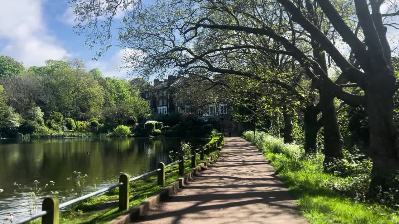 Serene Park Walkway by a Pond