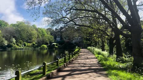 serene park walkway by a pond