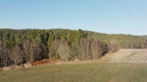 Una-Perspectiva-De-Un-Bosque-De-Coníferas-Y-Una-Pradera-En-Noviembre-En-Indre-Fosen,-Condado-De-Trondelag,-Noruega---Drone-Volando-Hacia-Adelante